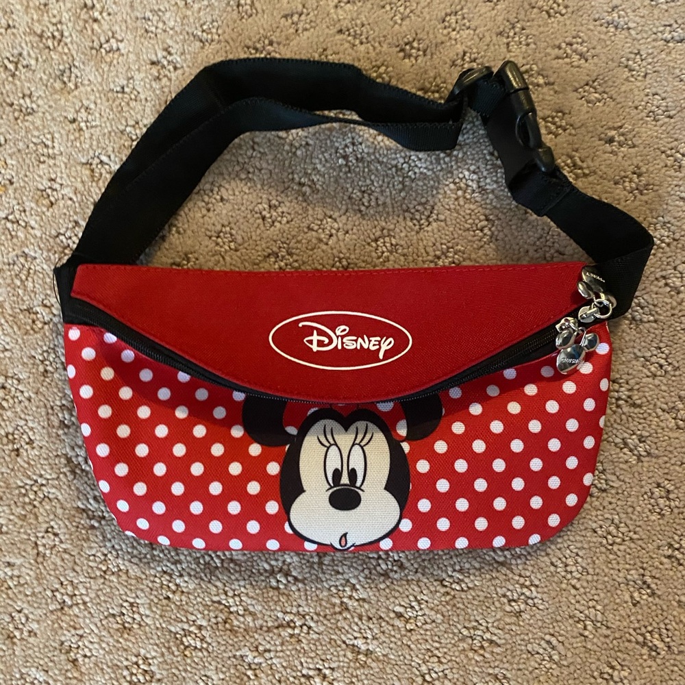 Disney Fannie pack kids